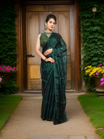 Designer Saree with Rhinestones &amp; Sequin Work by Shreekama